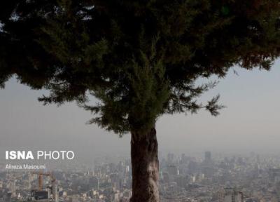 پاسخ محیط زیست تهران به احتمال مصرف مازوت در نیروگاه ها